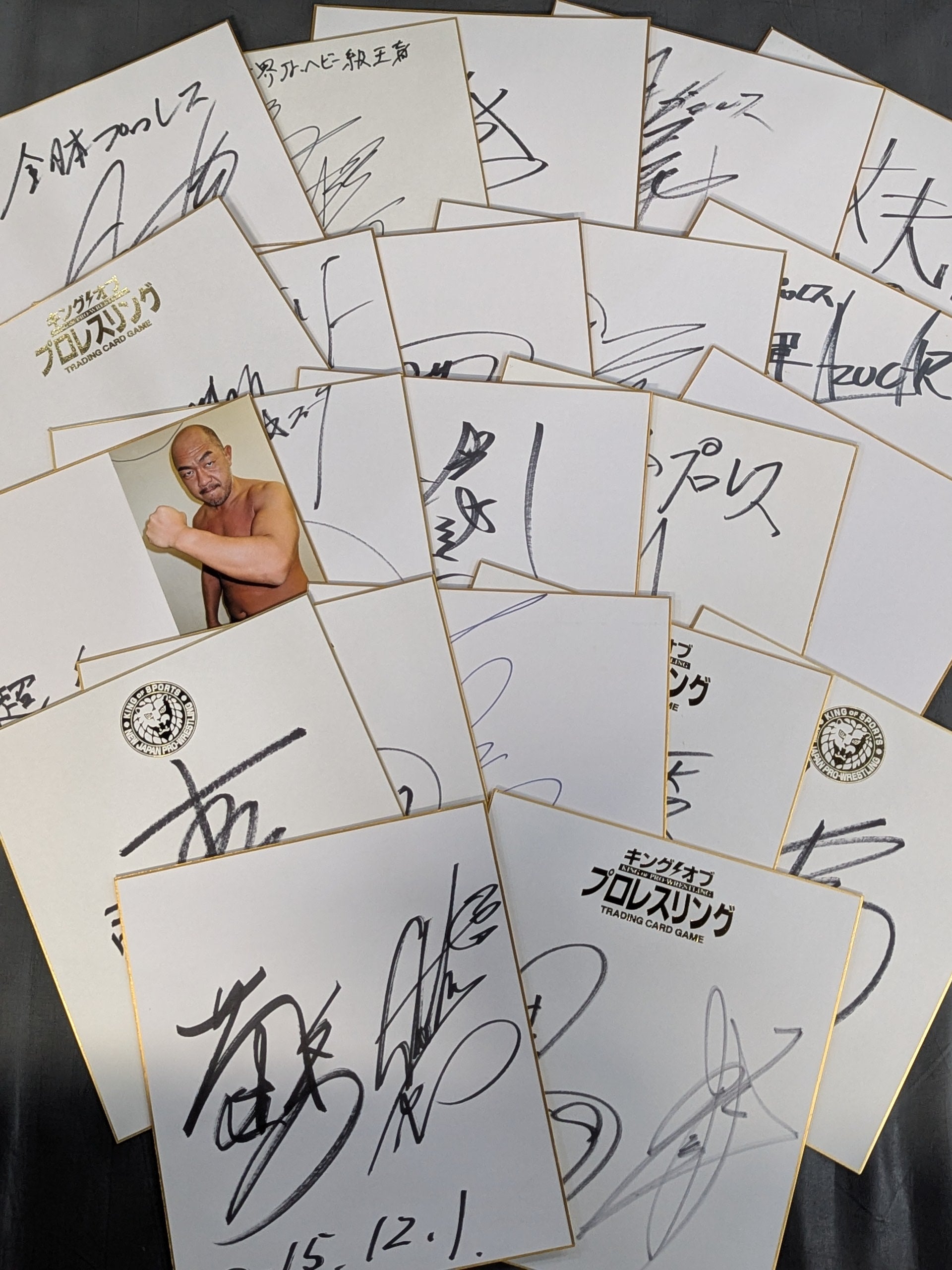 国内プロレスラー サイン色紙セット⑦ – 闘道館