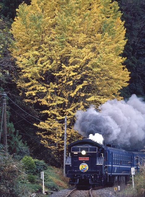 晩秋の三江線 SL江の川号 C56160