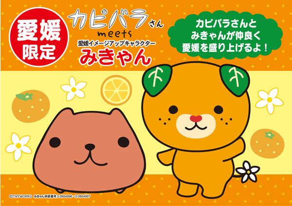 愛媛限定 カピバラさん meets みきゃん が8月下旬に発売！ | ご当地