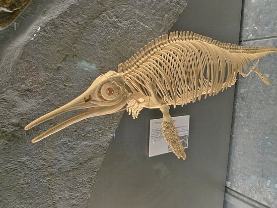 愛知県 蒲郡市生命の海科学館 その3 -underZero-