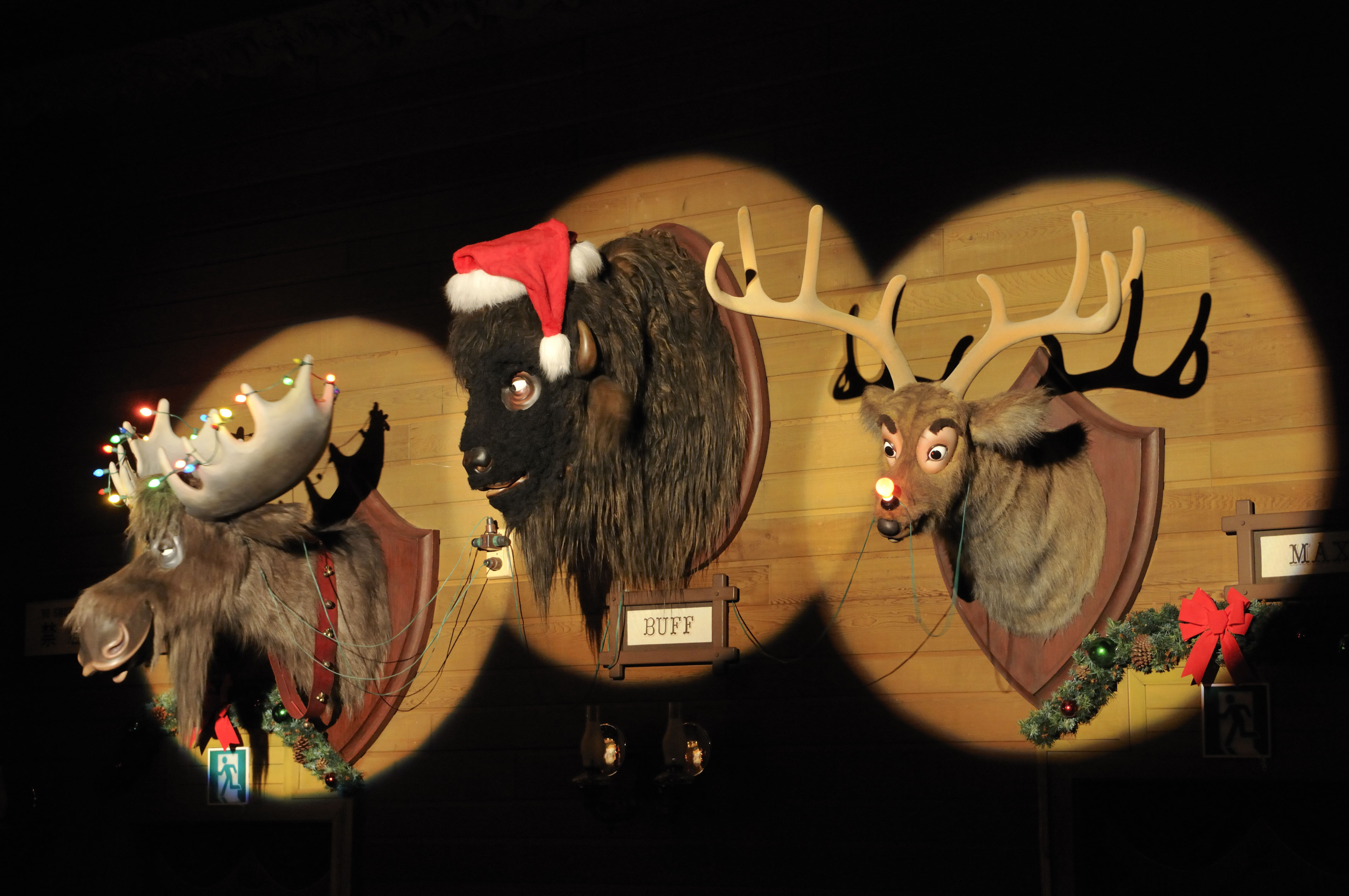 TDLクリスマス】トリビアの宝庫!「カントリーベア・シアター“ジングル