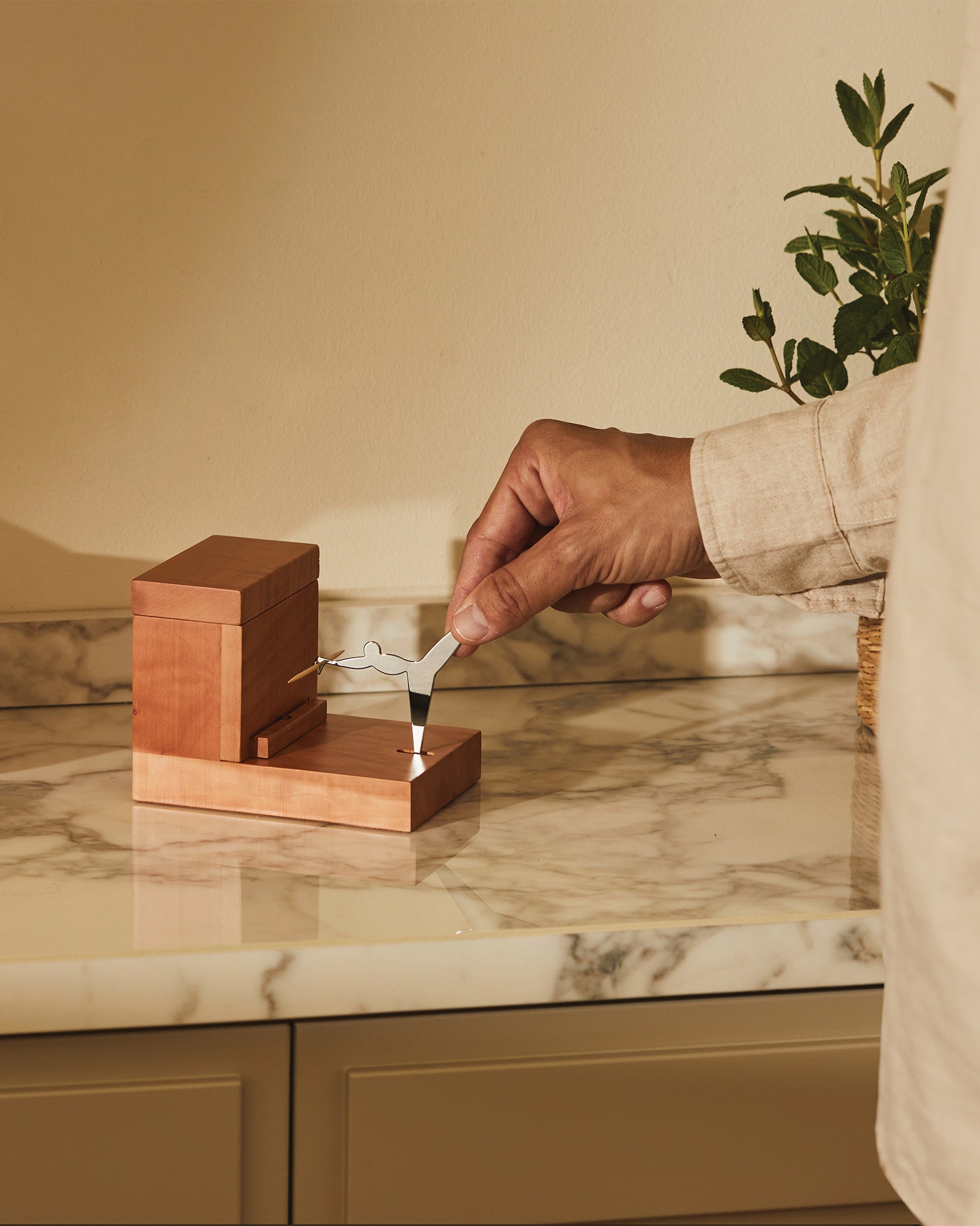 CO1369: Toothpick holder by Andrea Branzi | Alessi