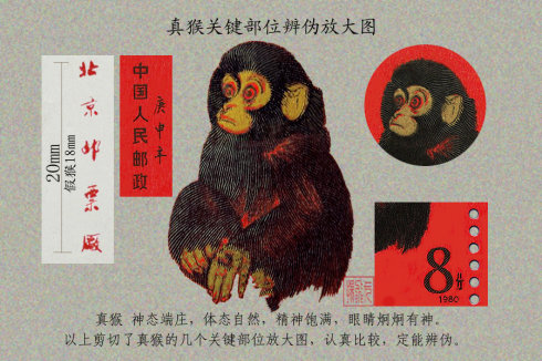 识别T46猴票真假（上）,图片,价格,收藏