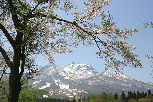 無題ドキュメント