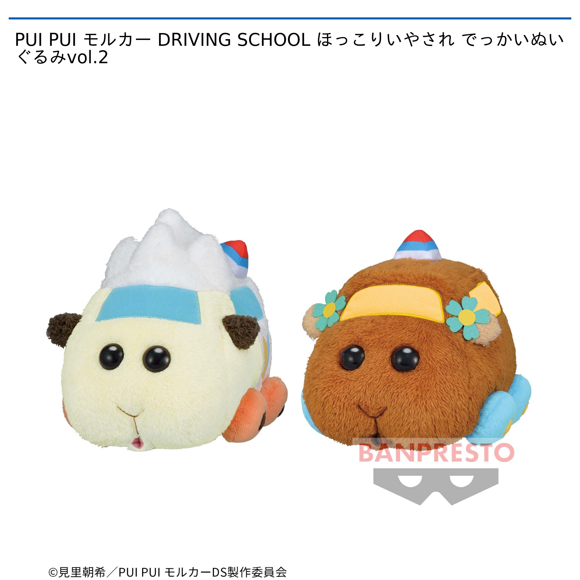 PUI PUI モルカー DRIVING SCHOOL ほっこりいやされ でっかい