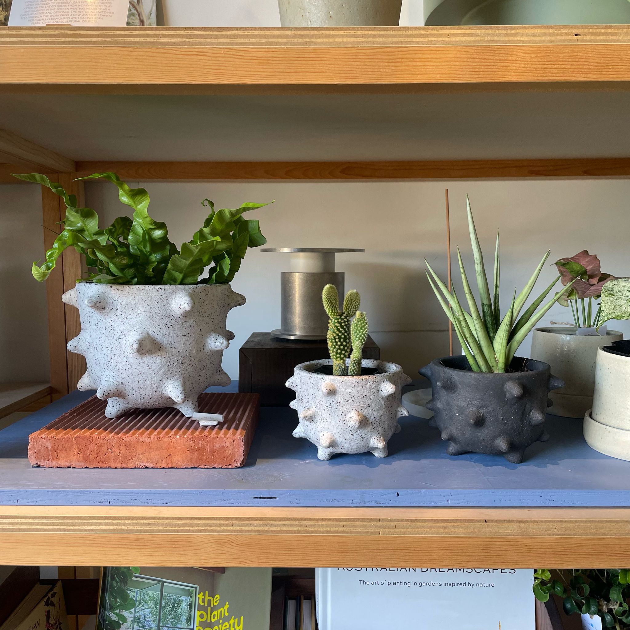 The_Plant_Society_228.jpg?v=