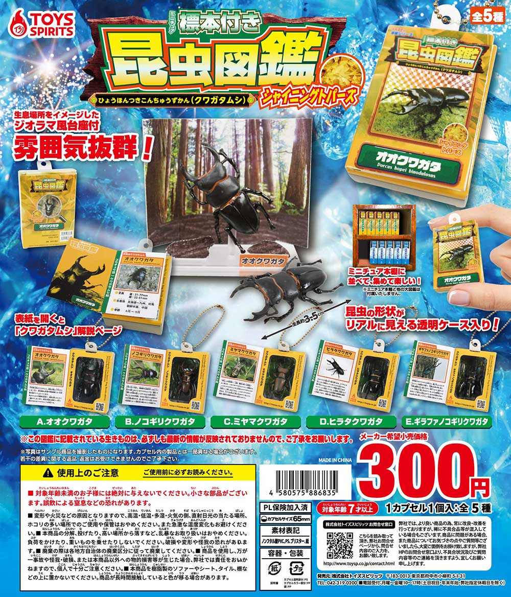 ミニチュア標本付き昆虫図鑑マスコット クワガタムシ【シャイニング