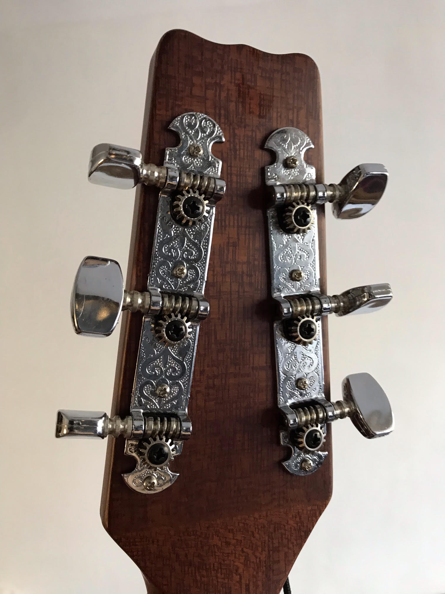 VANTAGE VIS-1 | Vantage Guitars – Japan, Korea, Indonesia and China