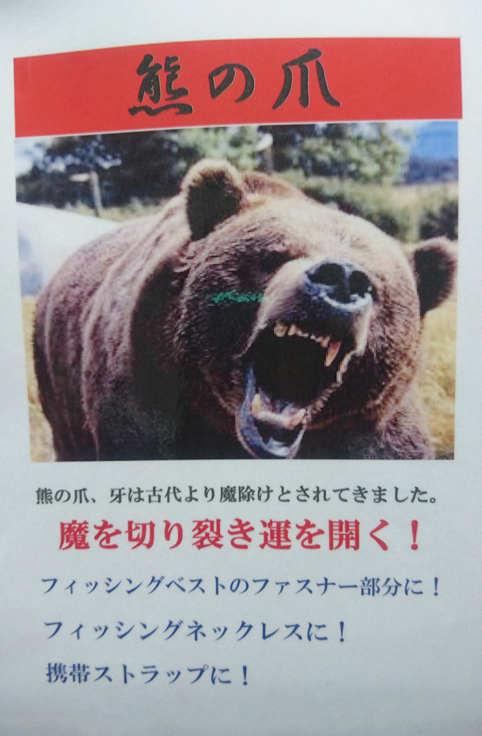 開運熊の爪 | 渡正釣具店 〜秋田県大館市の釣具店〜