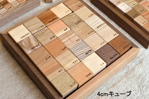 木の見本・樹種サンプル