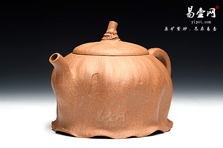莲子壶】经典仿生紫砂作品宜兴周荣华茶壶全手工紫砂壶宜兴紫砂壶名家