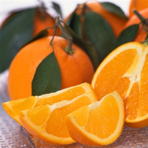 木熟ネーブルオレンジ 2月下旬発送開始 | 全農食品オンラインショップ