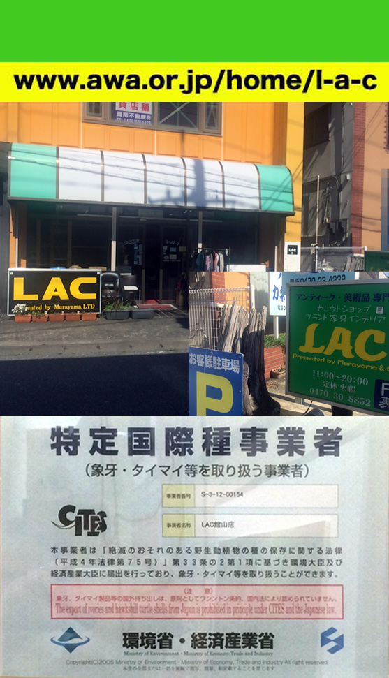 ☆展示品！☆ WAVE / 千倉の海 撮影者：村山ヒデカズ 17/6_9 WAVE ⁄