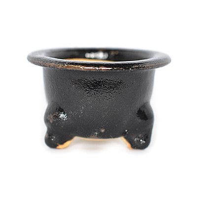 楽風 富貴蘭鉢【3.5号】【盆栽鉢】【信楽焼】の盆栽鉢を販売｜盆栽妙