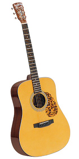 ブルーリッジ・ギター【日本総代理店】 Blueridge JAPAN