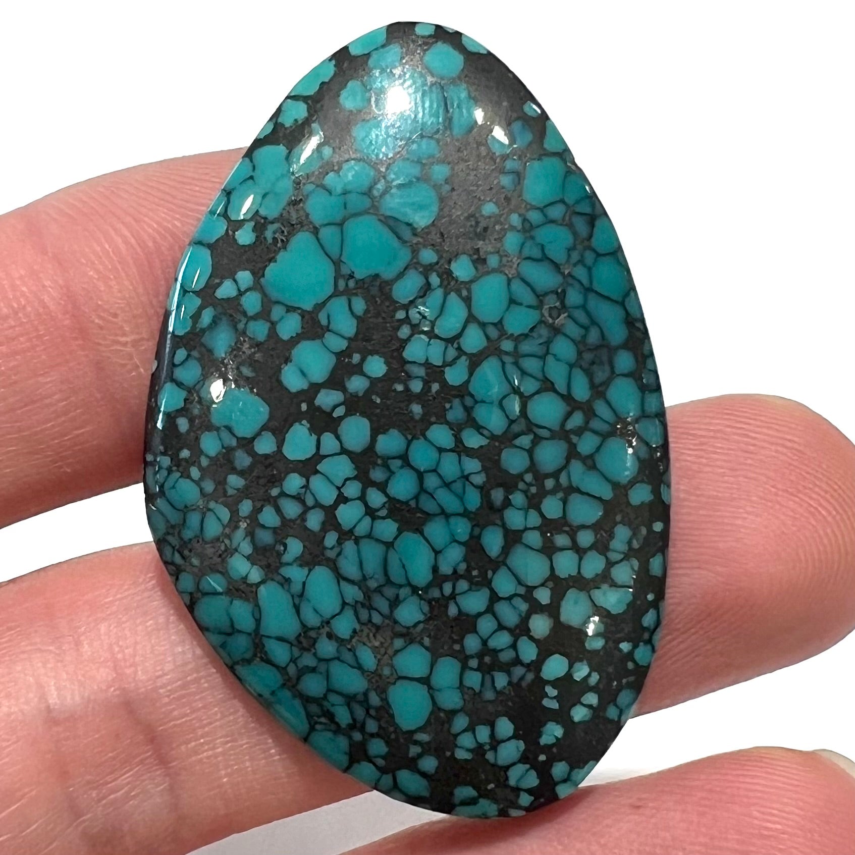 34.70ct Lone Mountain Spiderweb Turquoise Cabochon | Burton's