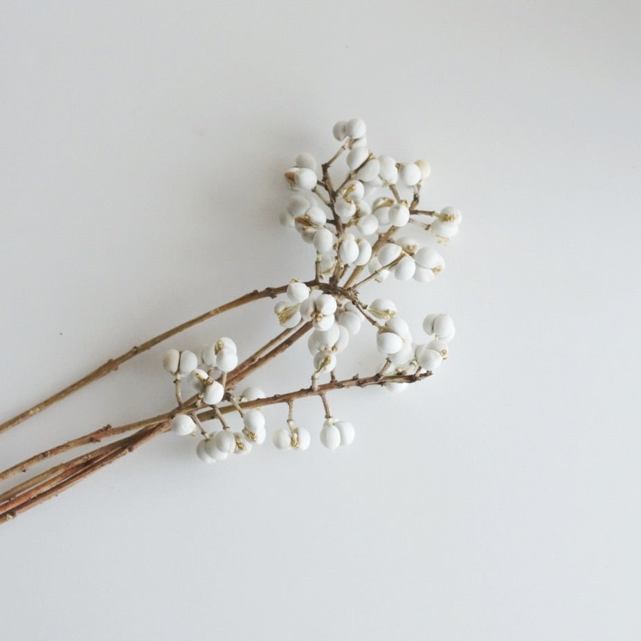 ナンキンハゼ ドライフラワー – 枯淡苑