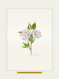 太田洋愛 Yoai OHTA