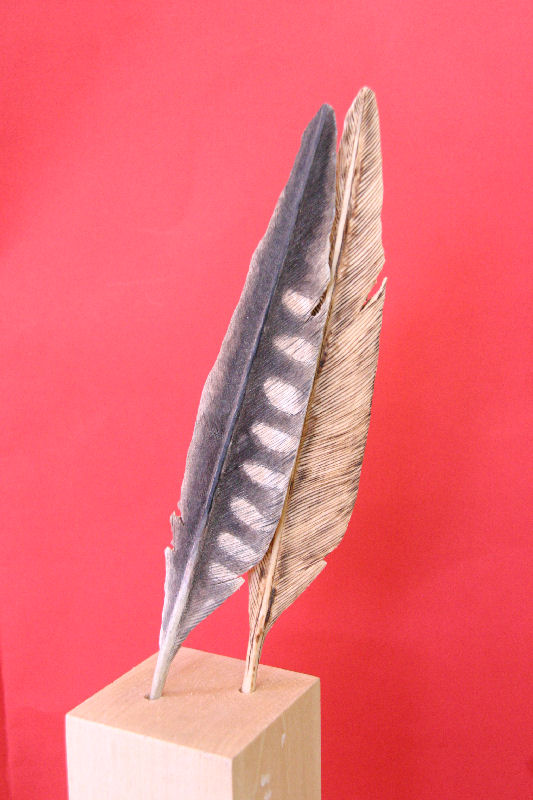 バード・カービングに魅せられて