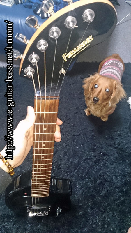 KAI-ZO（改造ディストーションZO-3）ヤフオク購入レビュー