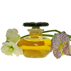 ナルシス ノワール エクストレ キャロン Narcisse Noir Extrait Caron