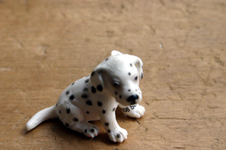 シュライヒ ダルメシアン