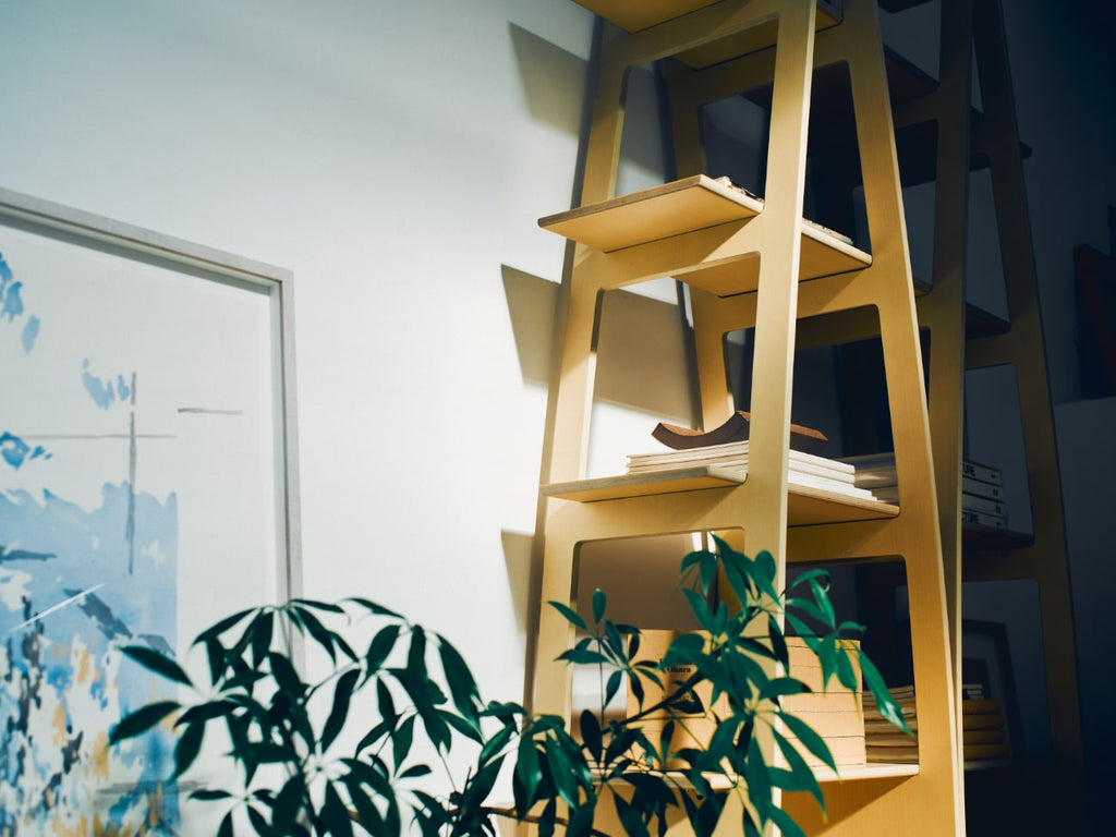 Display Shelves | ディスプレイシェルフ | Alex MacDonald | E&Y