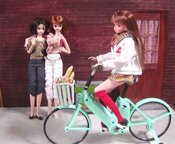 Haizara-Cho::Suigara-yama 99[Shinsuke Kirita] :: サイクリングリカ