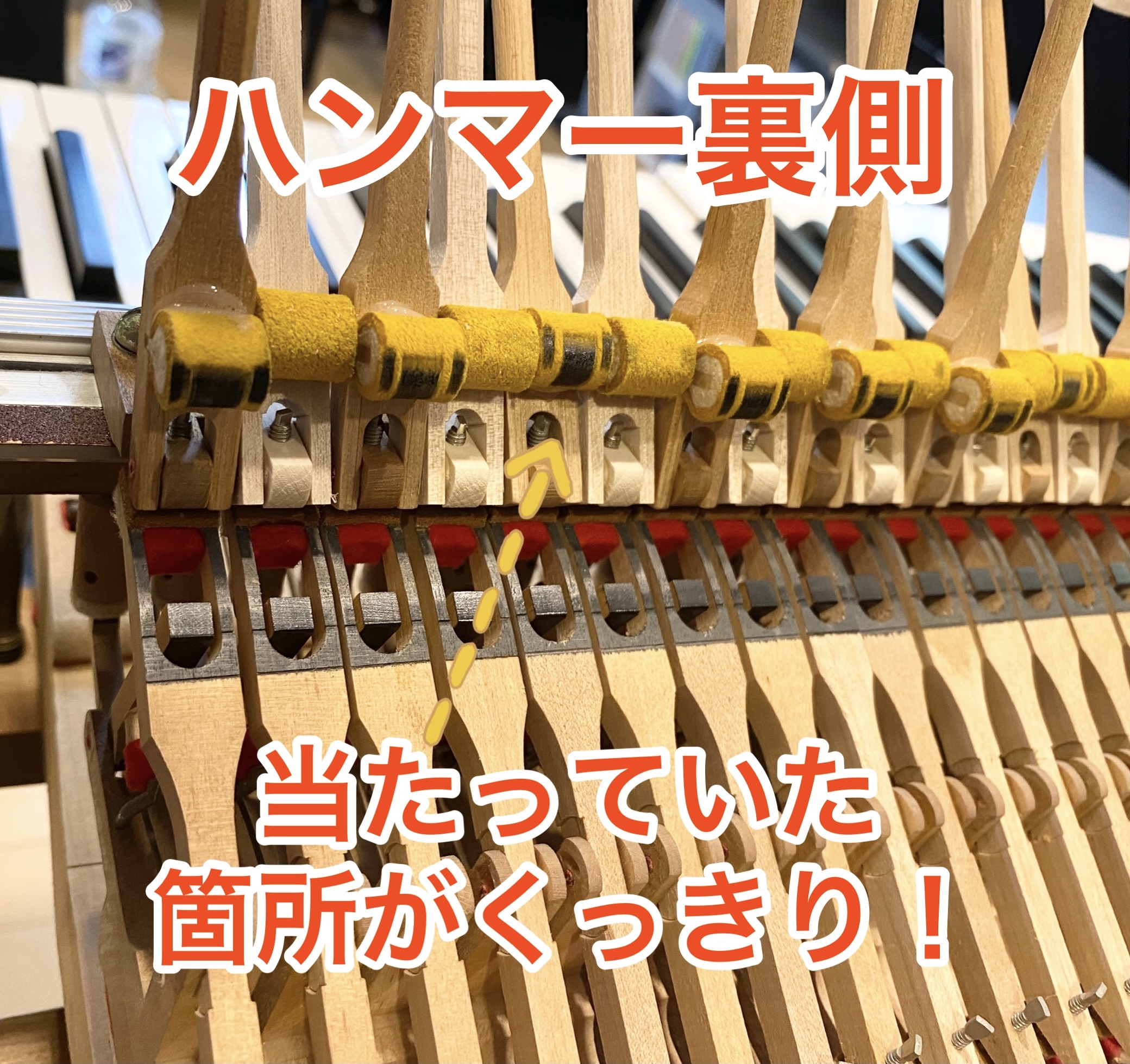グランドピアノ ハンマー総入れ替えが終わりました！ | ハ～モニ