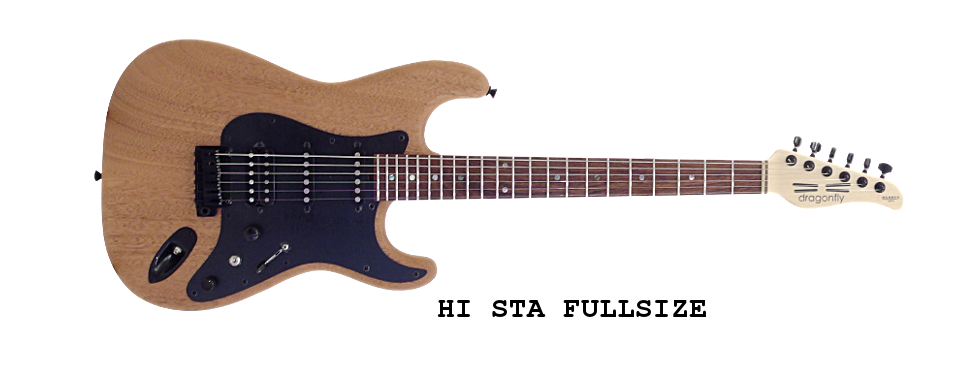 HARRY'S ENGINEERING / dragonfly custom guitars