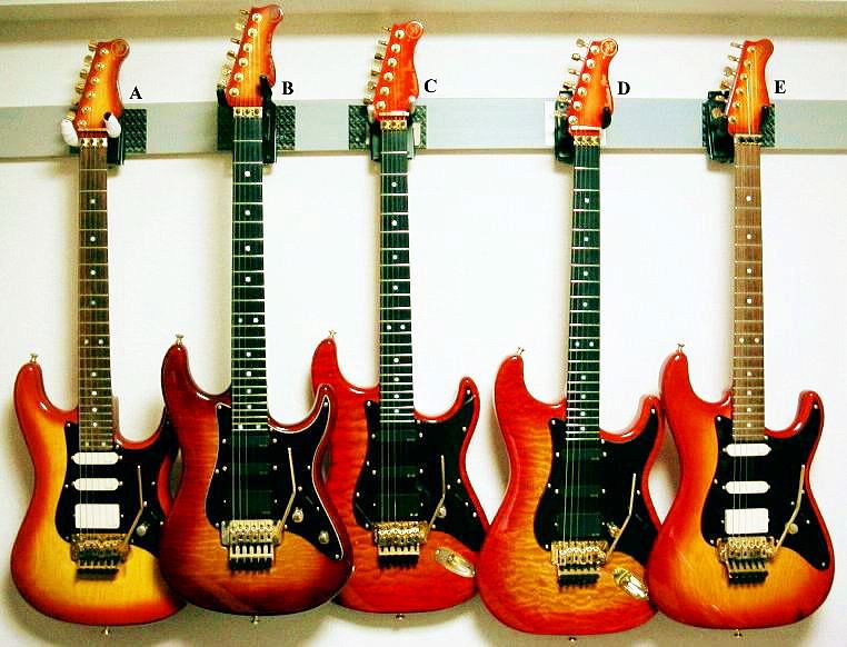 VALLEY ARTS CUSTOM PRO