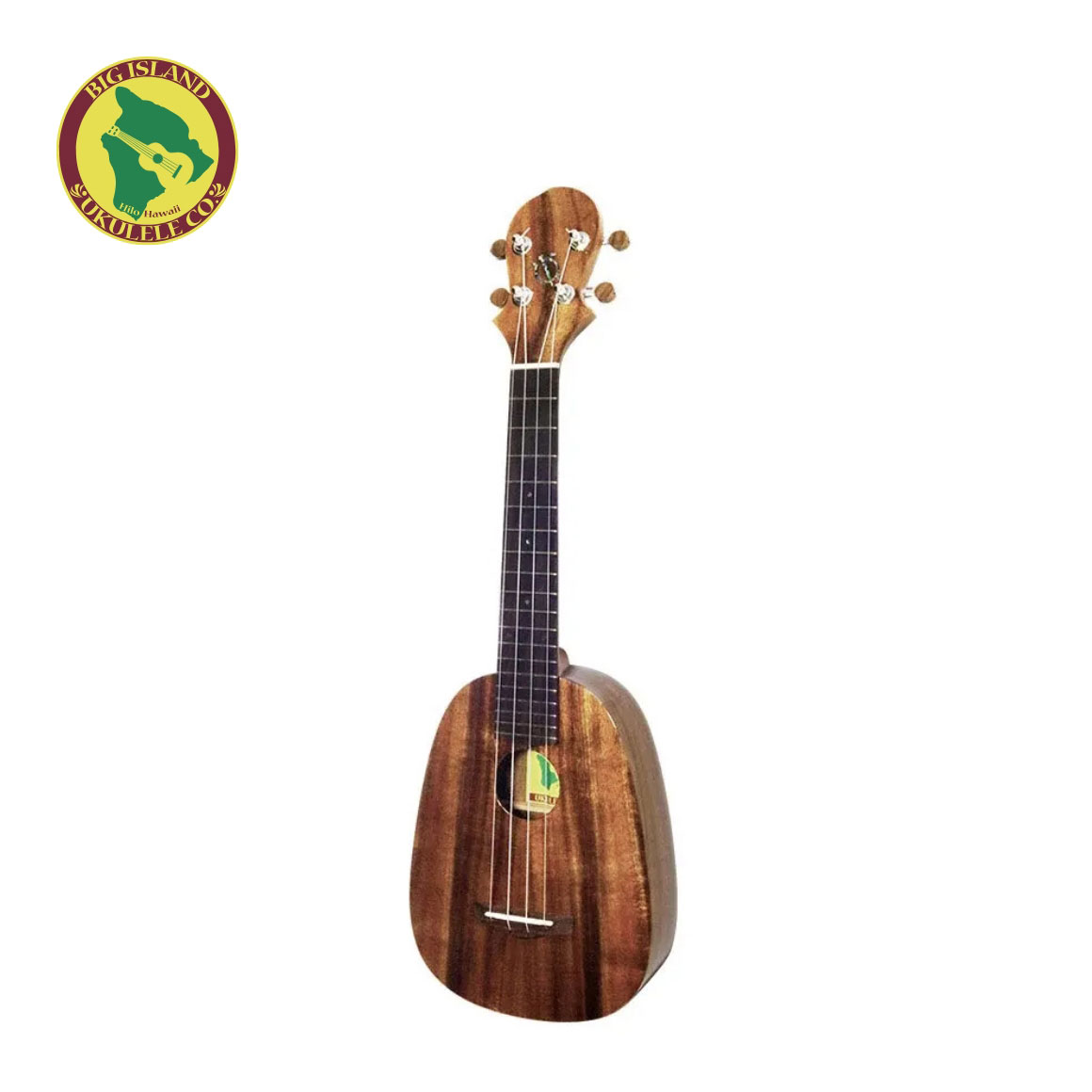 KP-SLS : BIG ISLAND ウクレレ