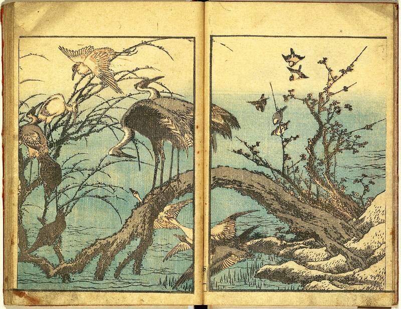 葛飾北斎 北斎画譜 中編