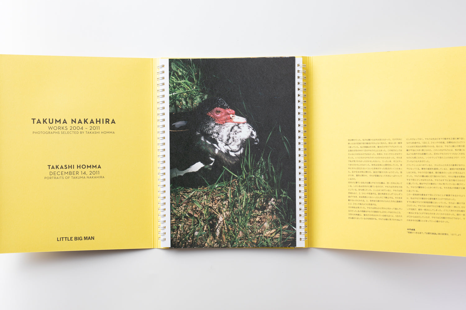 やもり by 中平卓馬 – IACK