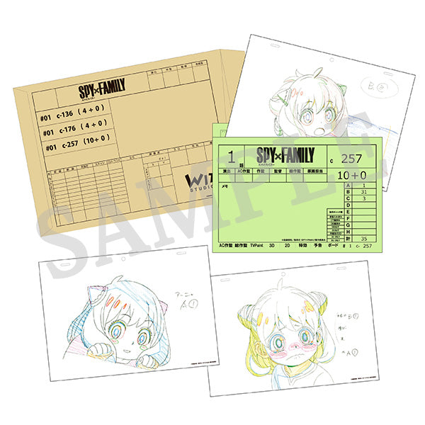 SPY×FAMILY♡アーニャ』コミケ会場展示用色紙原画＋レプリカ色紙捺印