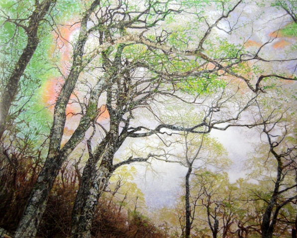 A水の 油絵（四万十川 風景画 ぶな）のページ