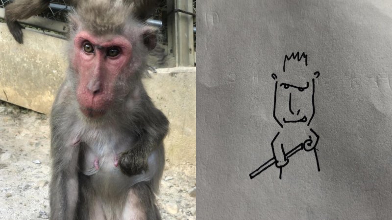 歴史を刻んでいる – 飼育の部屋