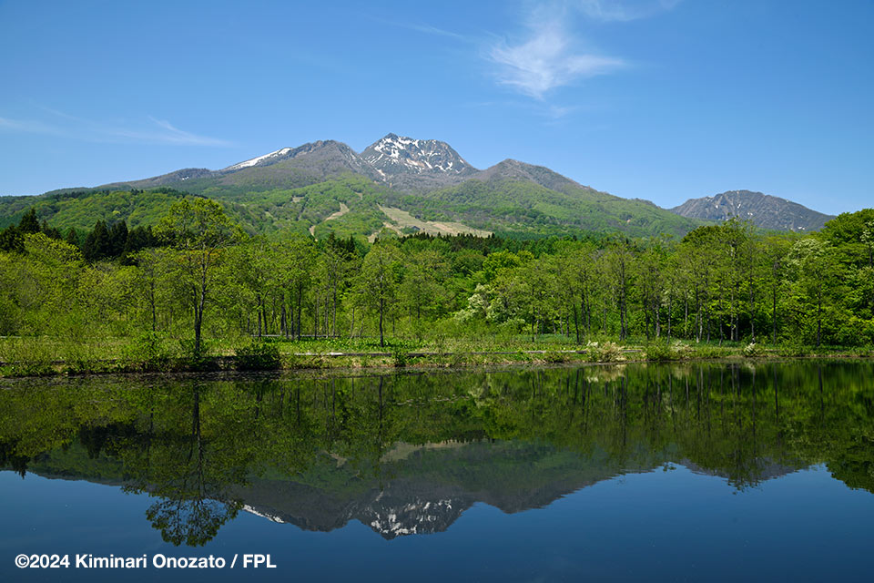 花火野郎の観覧日記