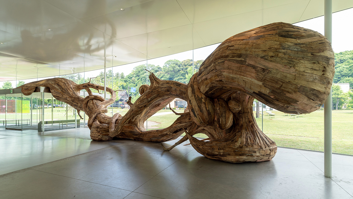 Lines（ラインズ）—意識を流れに合わせる｜金沢21世紀美術館 | 21st