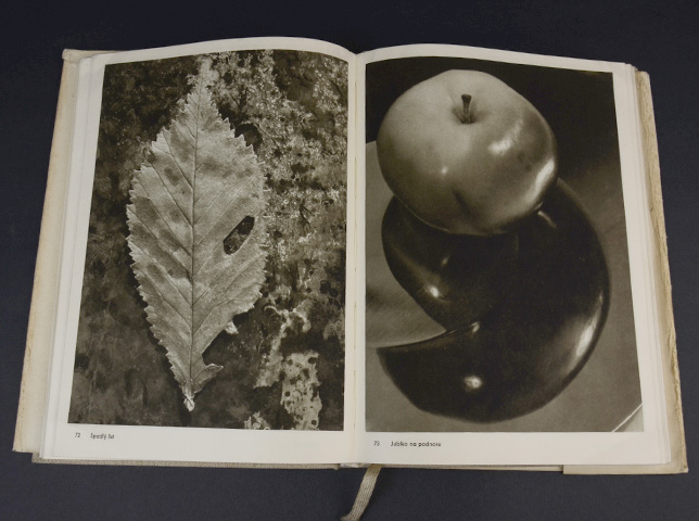 Josef Sudek Fotografie｜恵文社一乗寺店 オンラインショップ