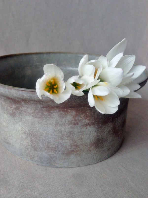 大野七実さん（陶磁） | 工房からの風・craft in action