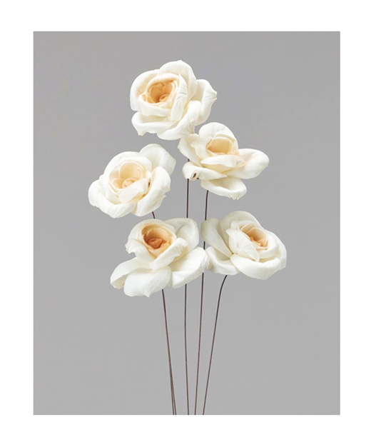 プリザーブドフラワー花材通販 ケーネクスト