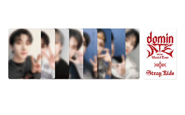 STRAY KIDS WORLD TOUR DOMINATE SEOUL (BLU-RAY) | INCLUDES PRE