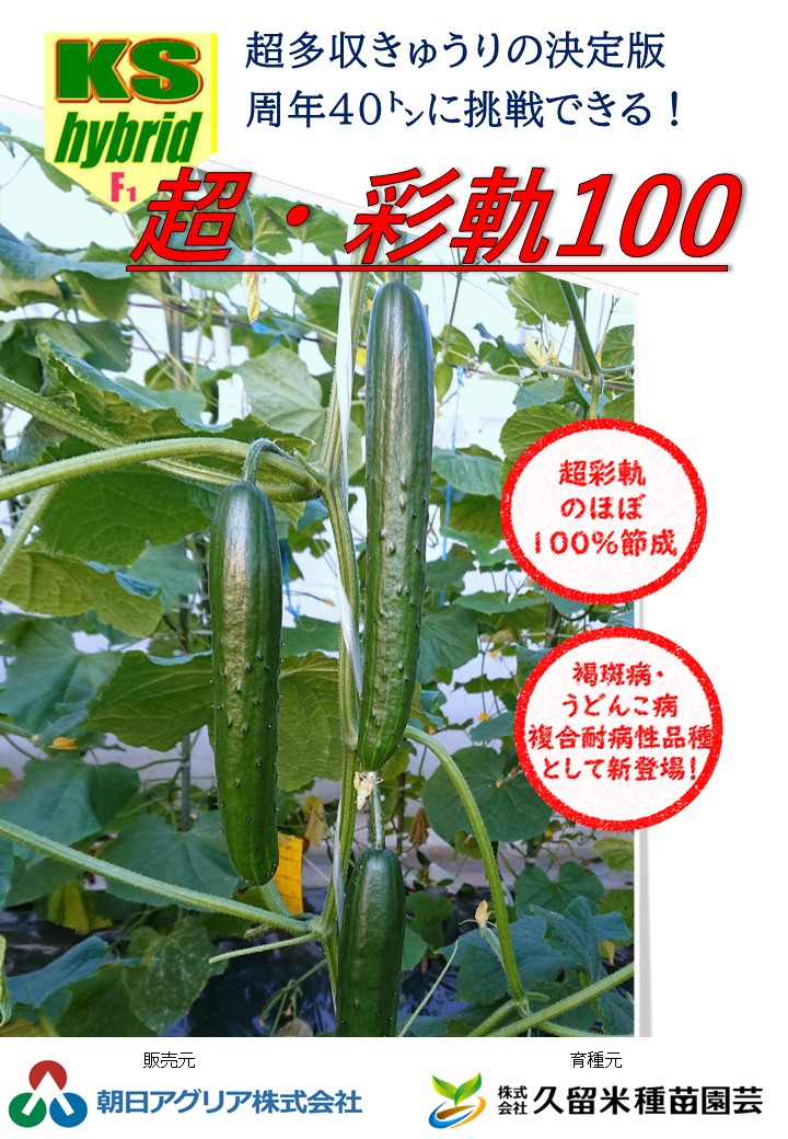 きゅうり、商品案内 | 【久留米種苗園芸】きゅうり、にがうり、スイカ