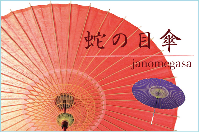 蛇の目傘 羽二重 - きもの館【久五郎】