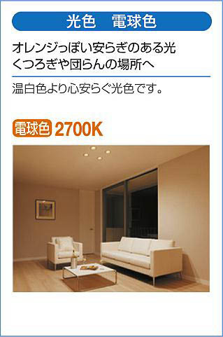 DAIKO 大光電機 ダウンライト(軒下兼用) DDL-5102YW | 商品情報 | LED