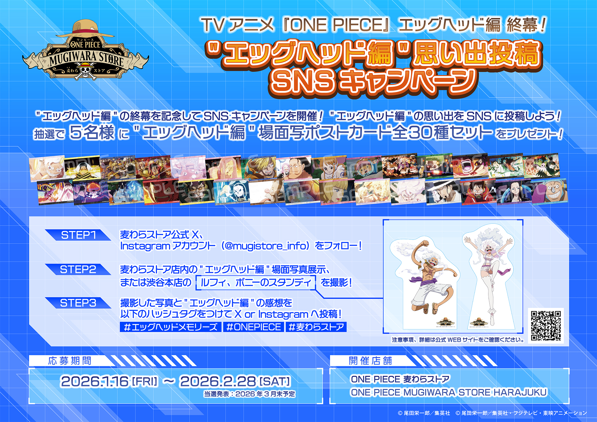 お知らせ】エッグヘッド編が終幕！ポストカードプレゼントキャンペーン