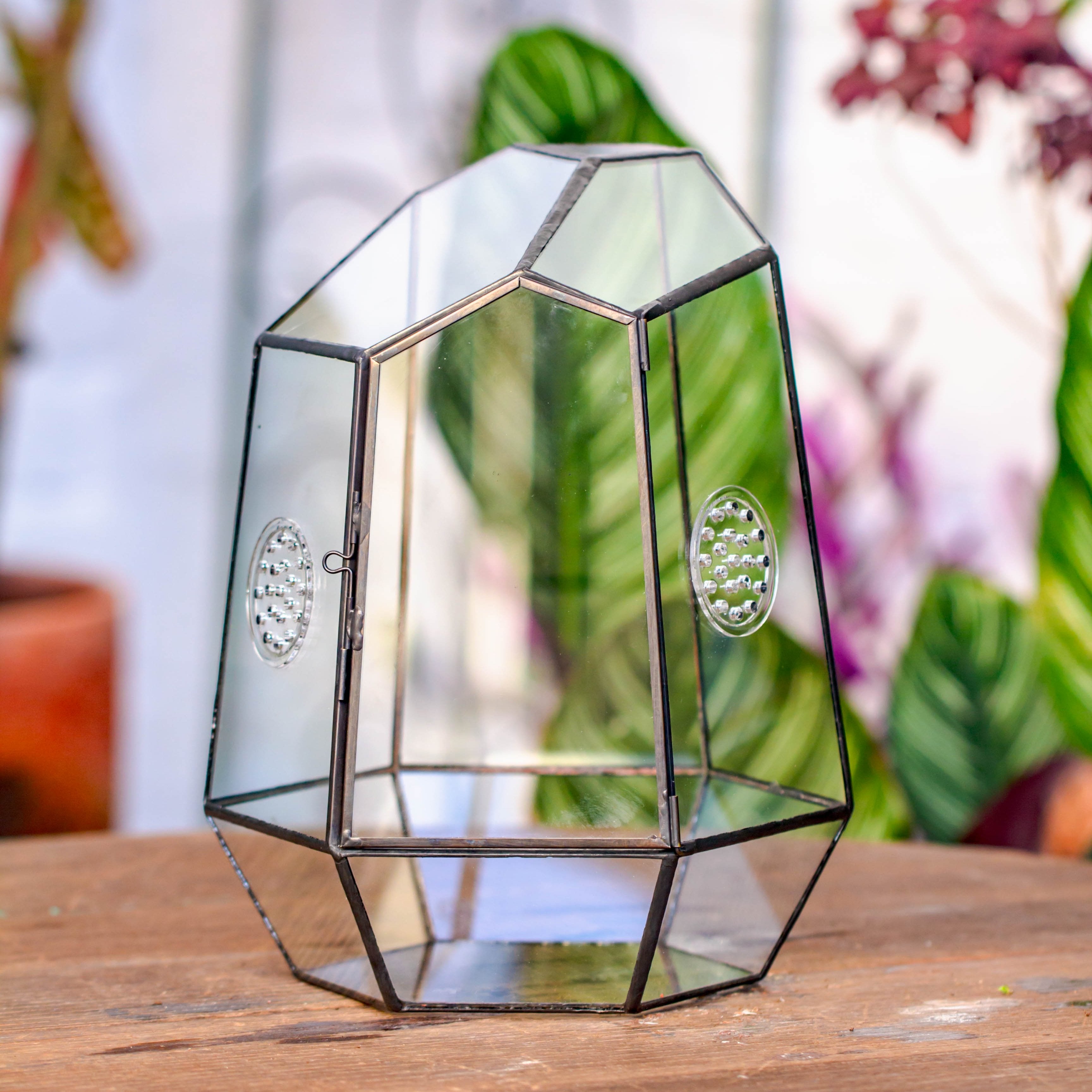 NCYP Close Geometric Tin Glass Terrarium with Door, Vent, Insect