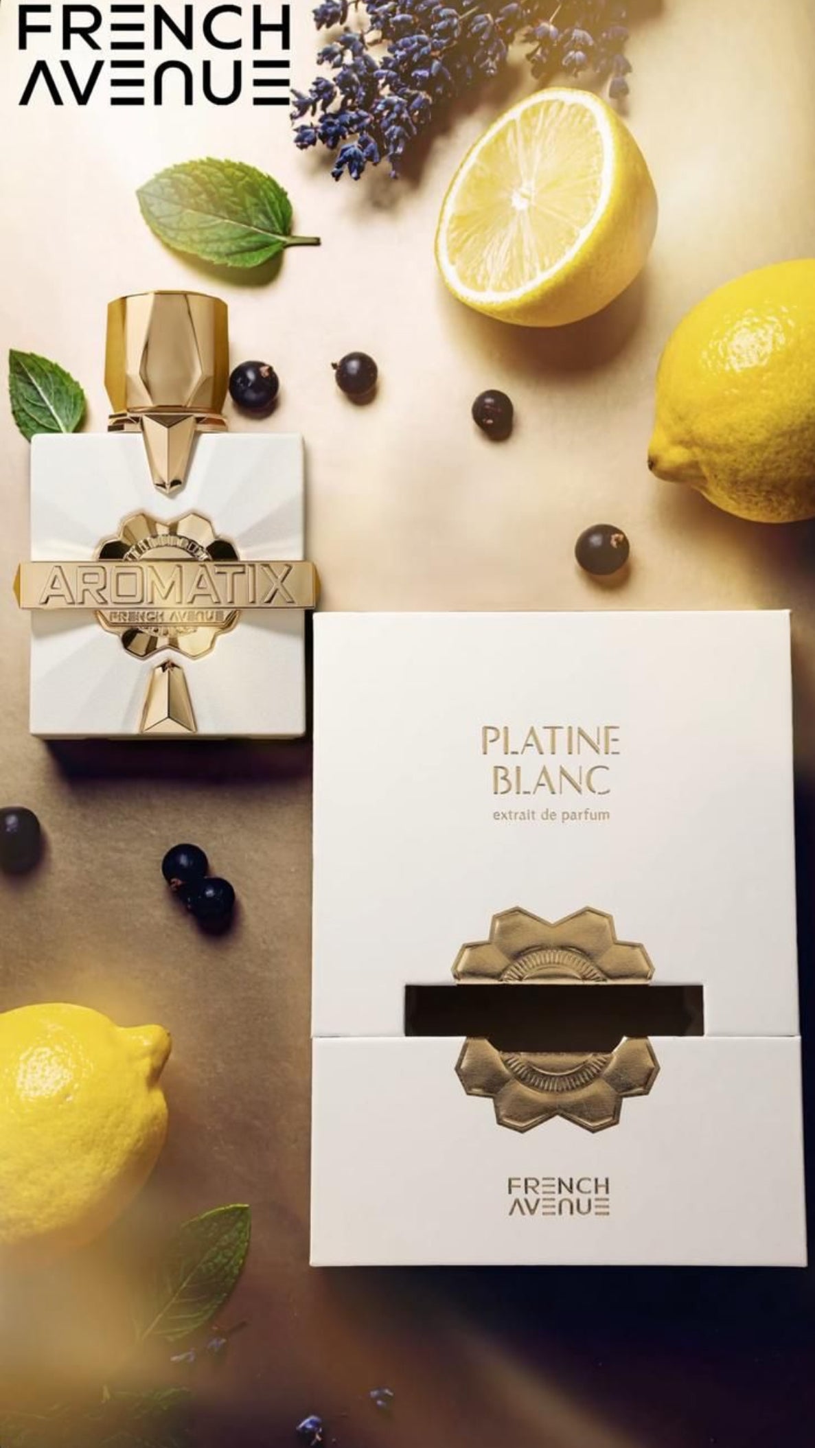 French Avenue X Aromatix PLATINE BLANC – Oriental-Scents.de