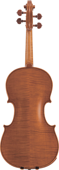 Carlo giordanoのビオラ